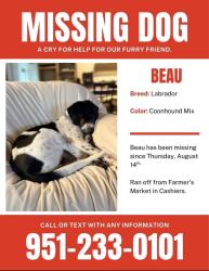 Lost Male Dog last seen Victorias Closet, Cashiers, NC 28717