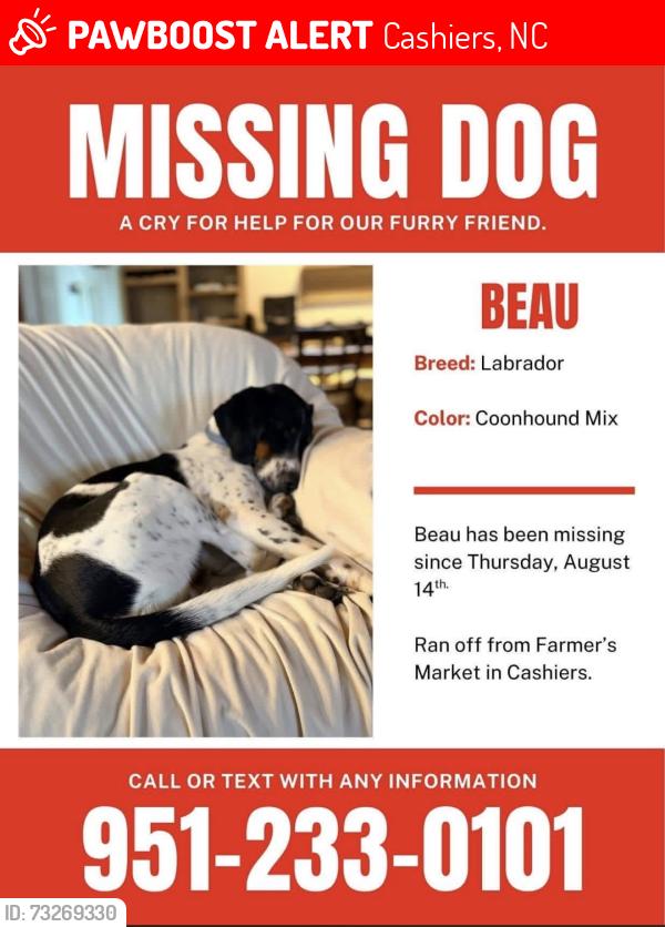 Lost Male Dog last seen Victorias Closet, Cashiers, NC 28717