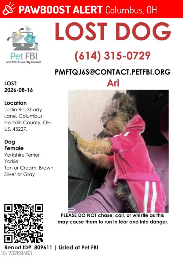 Lost Female Dog last seen Justin rd, Columbus, OH 43227