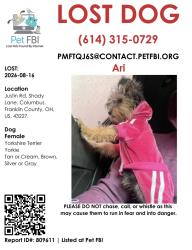 Lost Female Dog last seen Justin rd, Columbus, OH 43227