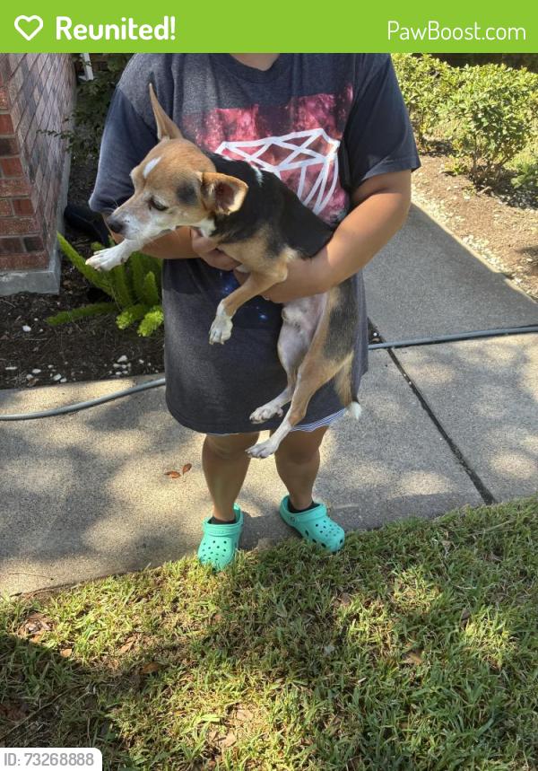 Reunited Male Dog last seen South Wimbledon, Brentwood Park, Harris County, TX 77449
