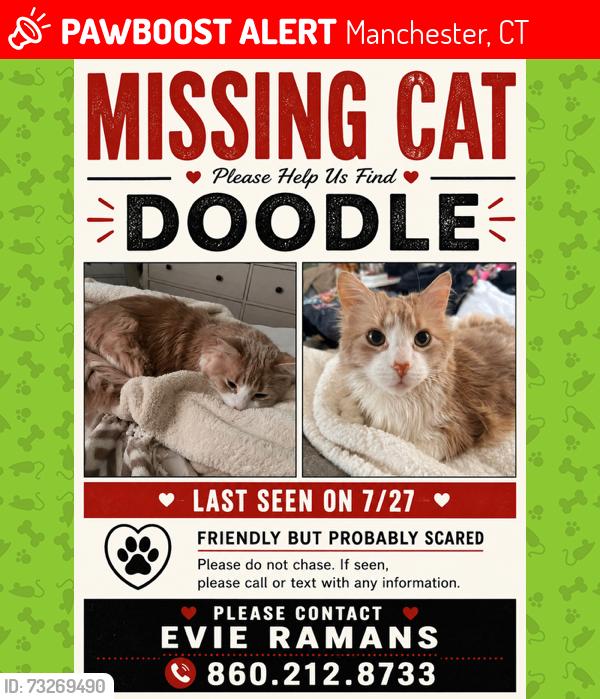 Lost Male Cat last seen Birch Mountain Road, Manchester, CT 06040