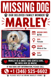 Lost Female Dog last seen Near spy tower, Valrico, FL 33594