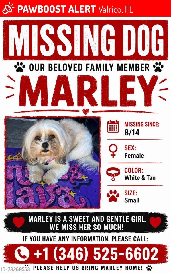 Lost Female Dog last seen Near spy tower, Valrico, FL 33594