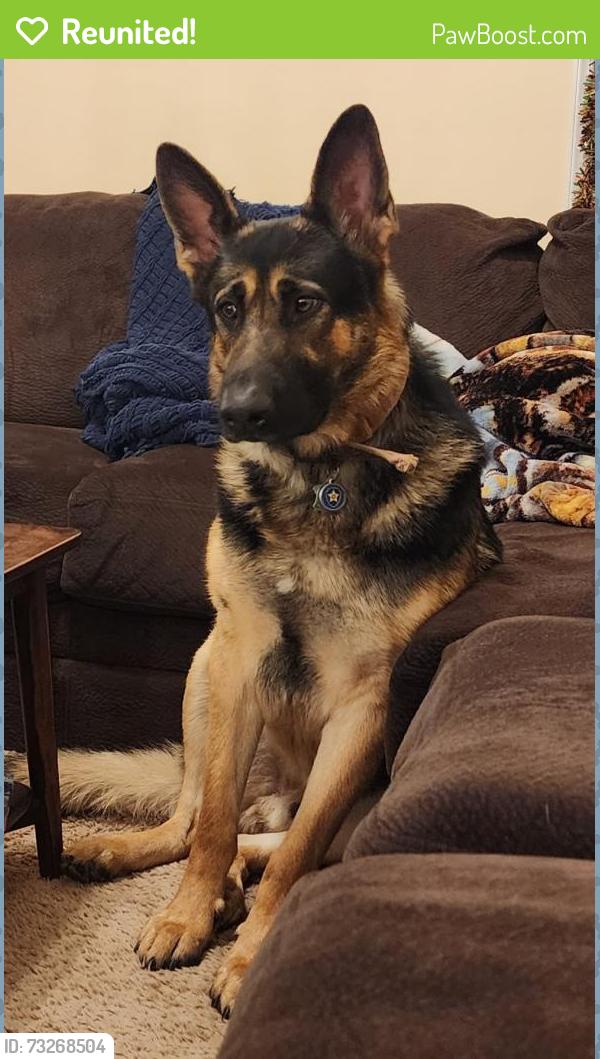 Reunited Male Dog last seen Intersection of Church Pond Rd. & Guinea Station, Spotsylvania County, VA 22407