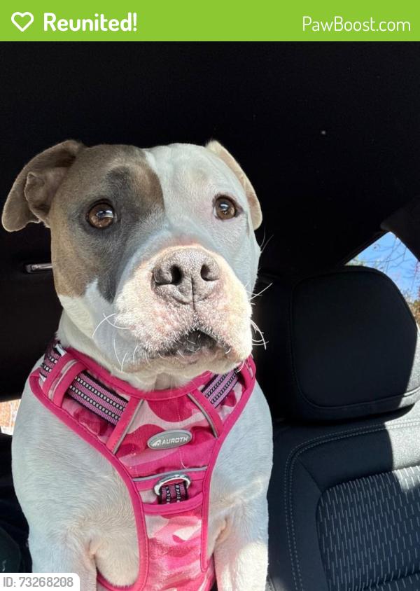 Reunited Female Dog last seen Cherry Creek ​Dog Of​f Leash Area, possibly in cherry creek state park or surrounding area, Aurora, CO 80015