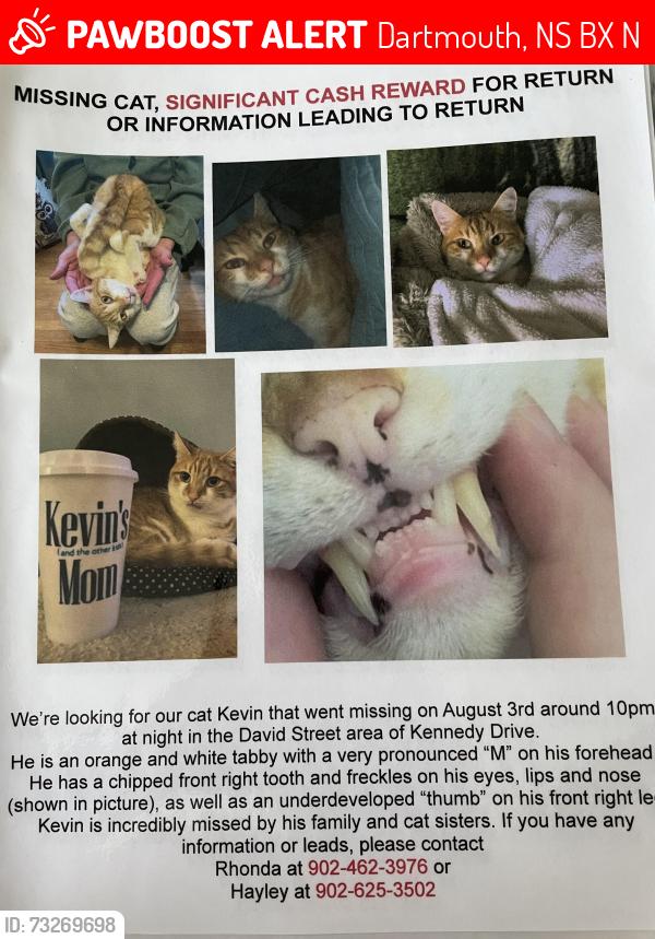 Lost Male Cat last seen Kennedy & Booth, Dartmouth, NS B2X 1N6