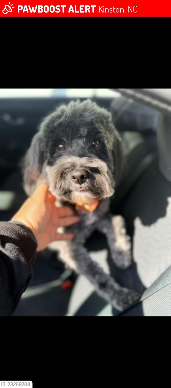 Lost Male Dog last seen Kinston-Lenoir County Visitors Center:, Kinston, NC 28501