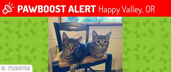 Lost Female Cat last seen Idleman, Happy Valley, OR 97086