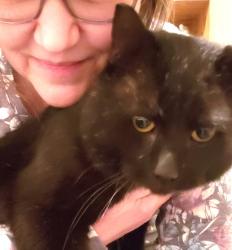 Lost Male Cat last seen Four Seasons Golf Course, Exeter, PA 18643