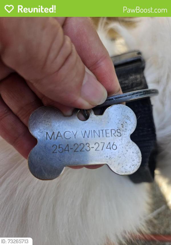 Reunited Male Dog last seen Paradise valley dr, Plano, TX 75025