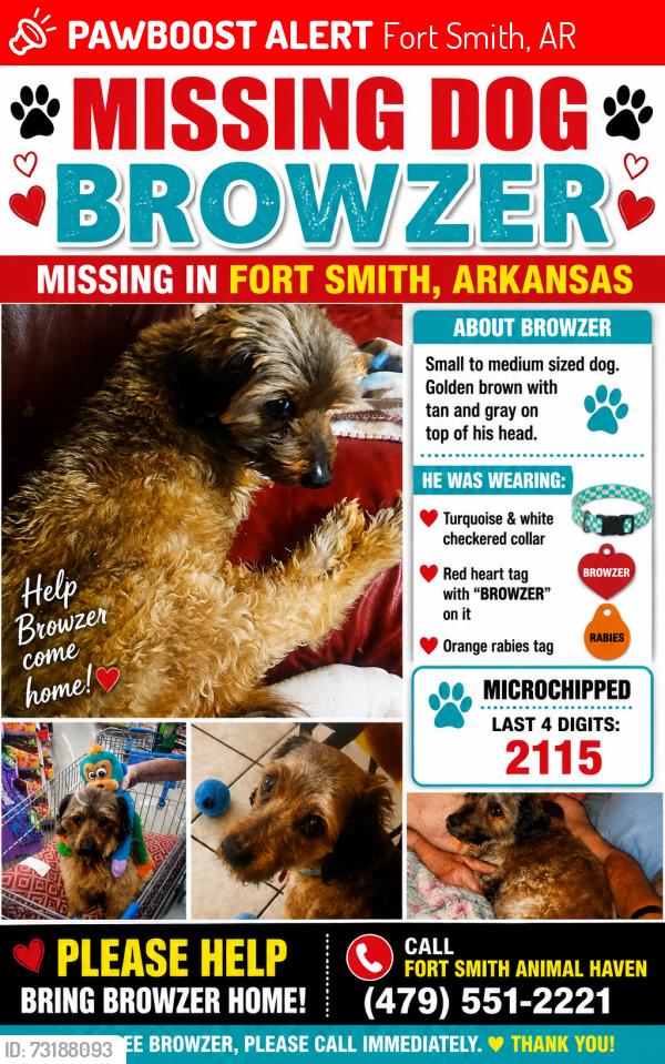 Lost Male Dog last seen S 7th st and U St, Fort Smith, AR 72916