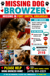 Lost Male Dog last seen S 7th st and U St, Fort Smith, AR 72916