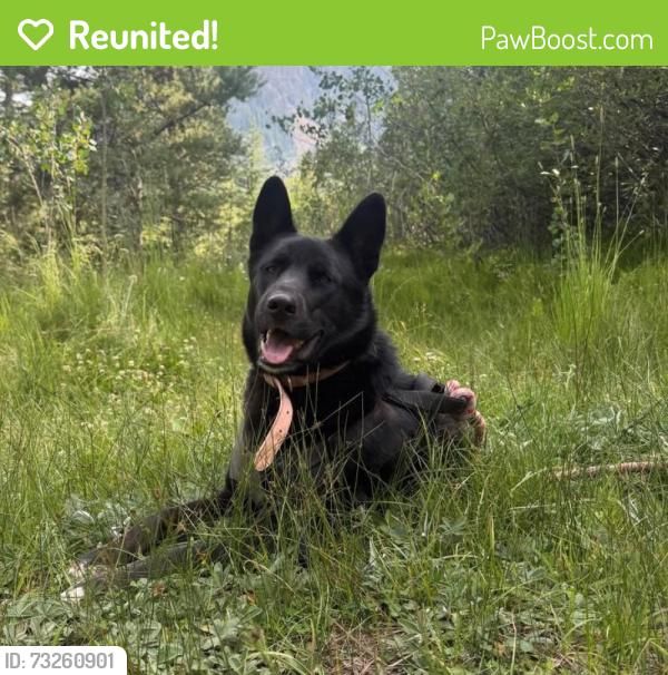 Reunited Female Dog last seen Near East 64th avenue, Commerce City, CO 80022