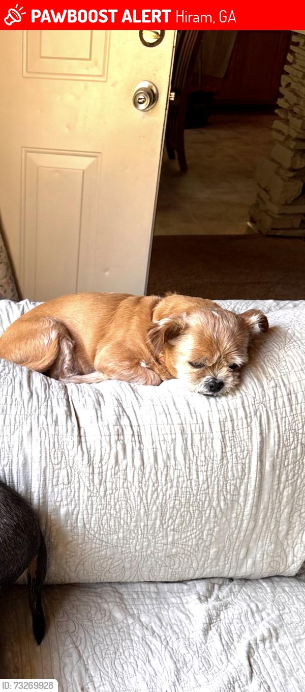 Lost Male Dog last seen Church st and hwy 92, Hiram, GA 30141