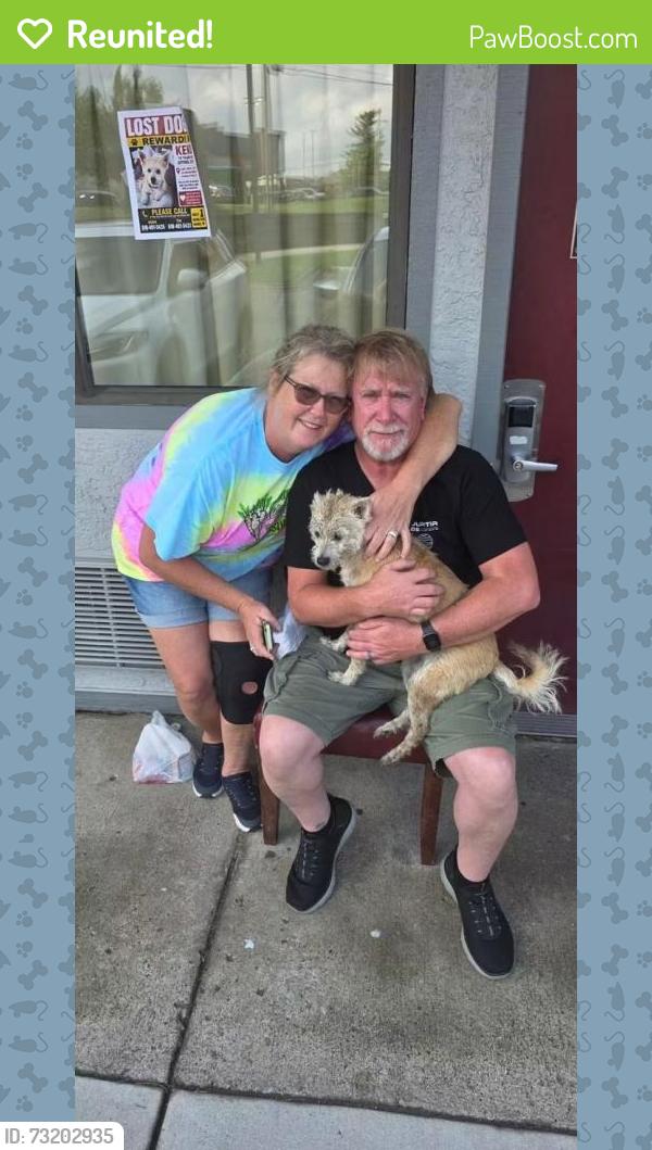 Reunited Female Dog last seen Conference Dr., Goodlettsville, TN 37072