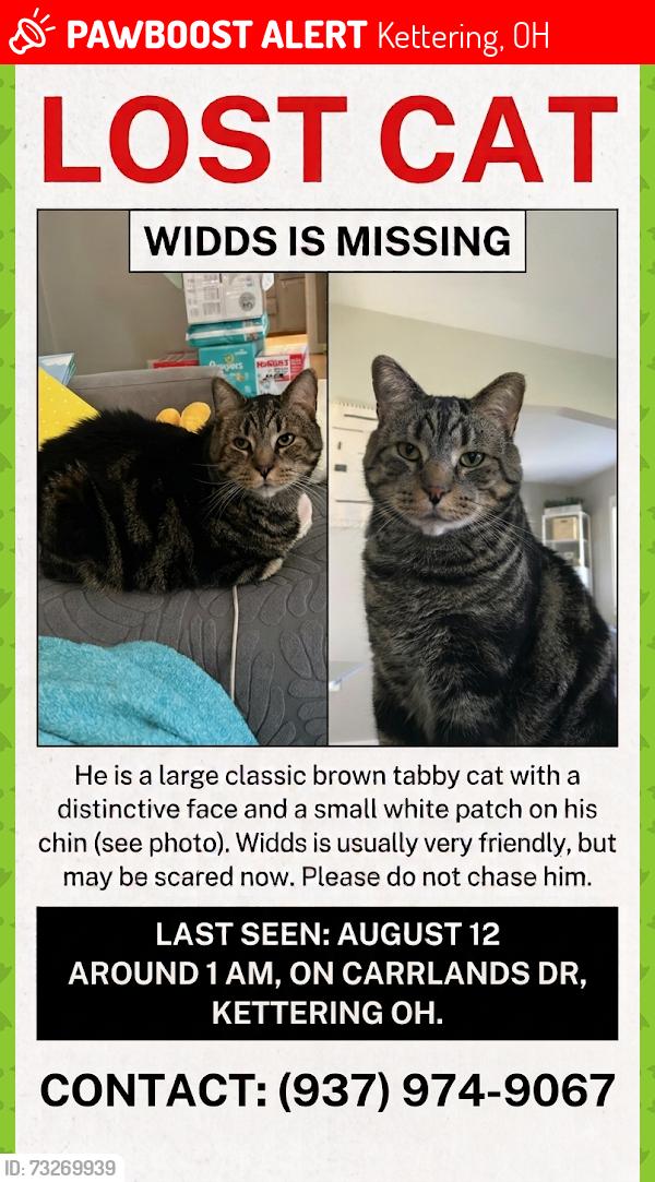 Lost Male Cat last seen Carrlands and Delaine, Kettering, OH 45429