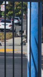 Found/Stray Unknown Dog last seen Lexington, Sacramento, CA 95815
