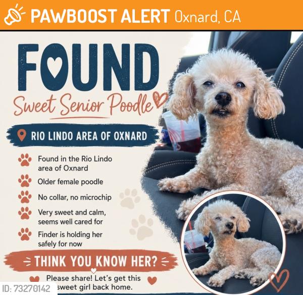 Found/Stray Female Dog last seen Snow Ave- Rio lindo school, Oxnard, CA 93036