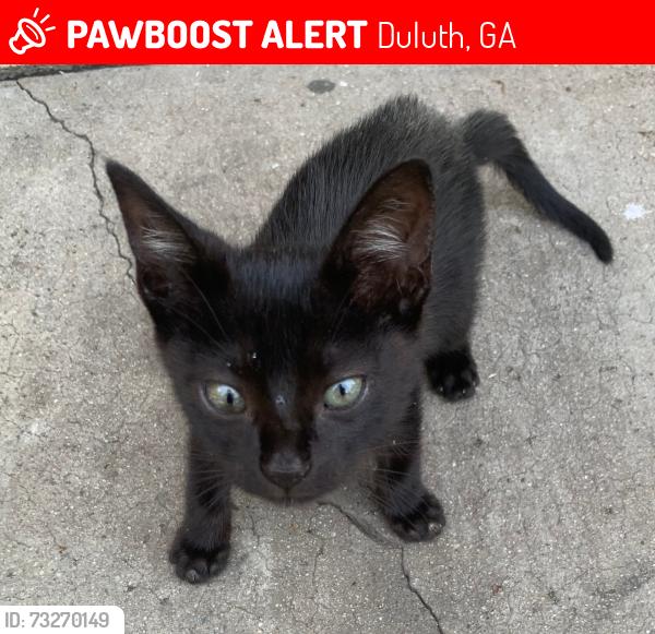 Lost Female Cat last seen Pleasant hill road Duluth or venture Pkwy NW, Duluth, GA 30096