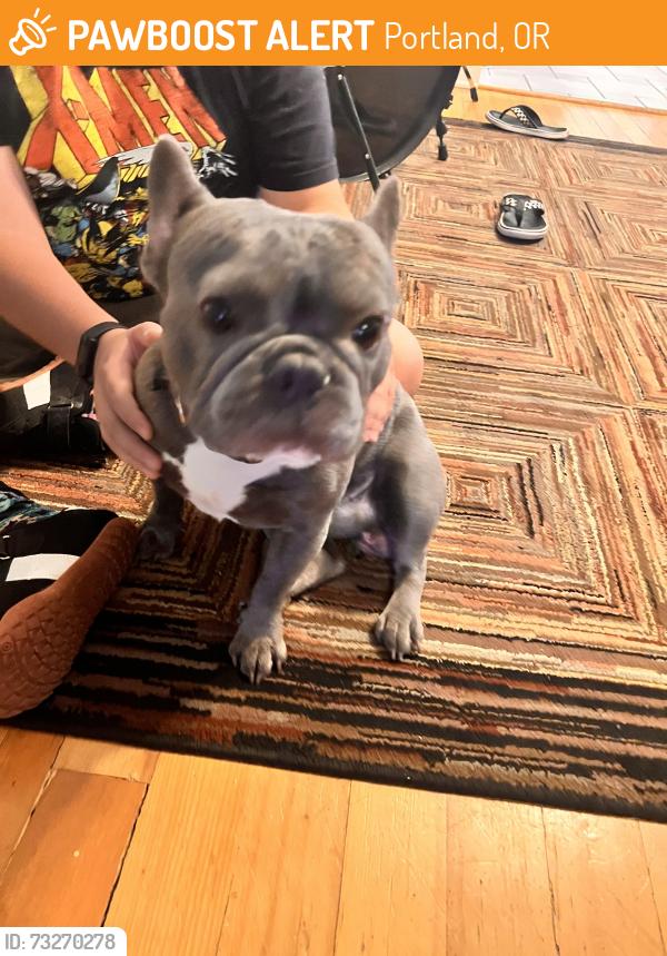 Found/Stray Male Dog last seen Bloomington Park, Portland, OR 97266