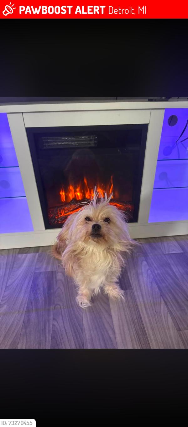 Lost Male Dog last seen Horatio, Detroit, MI 48210