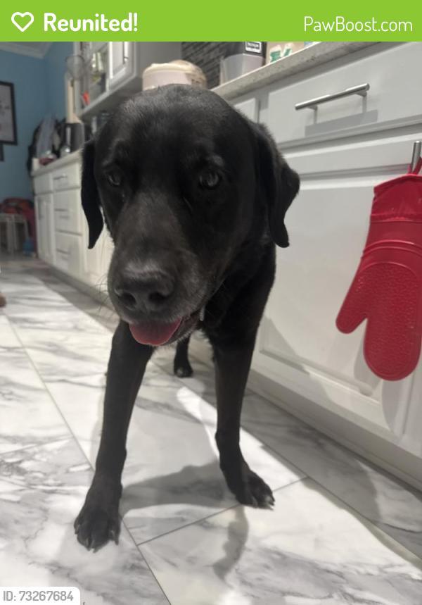 Reunited Male Dog last seen Kokai & Pecos, Denver, CO 80221