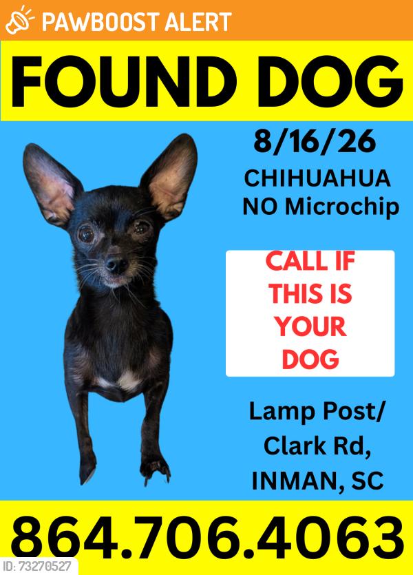 Found/Stray Female Dog last seen Lamp Post and Clark Rd, Inman, SC, Spartanburg County, SC 29349