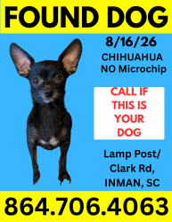 Found/Stray Female Dog last seen Lamp Post and Clark Rd, Inman, SC, Spartanburg County, SC 29349