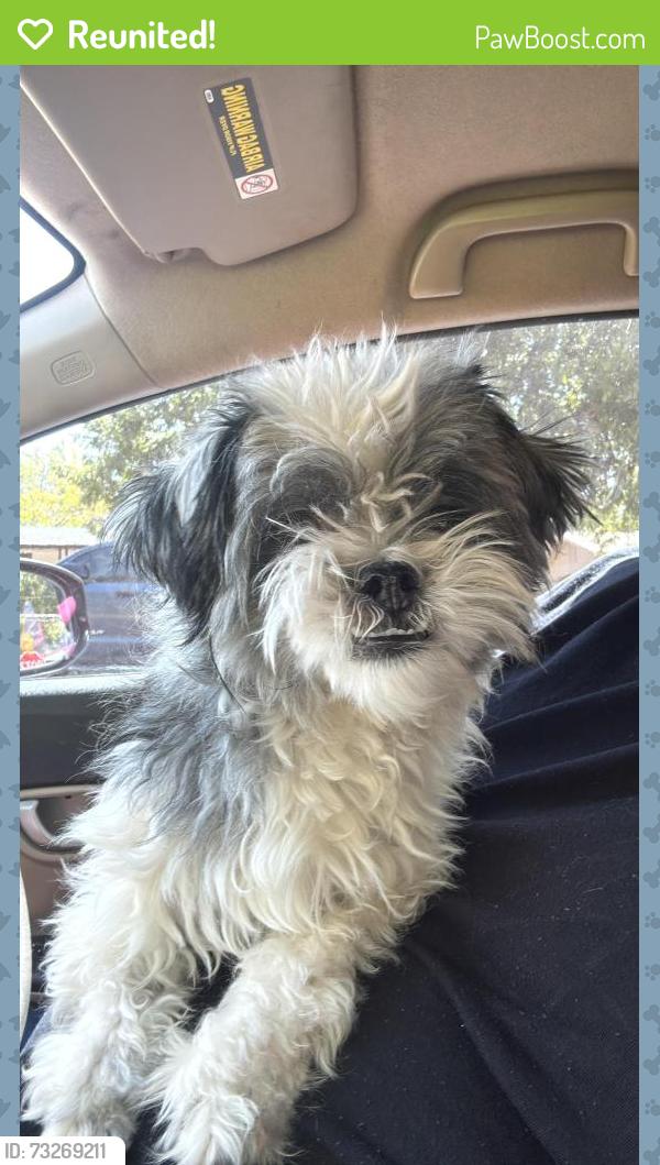 Reunited Male Dog last seen Near Mulkey ln, Denton, TX 76209