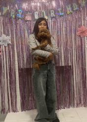 Reunited Male Dog last seen Near Sainsbury Ct, Linton Hall, VA 20136