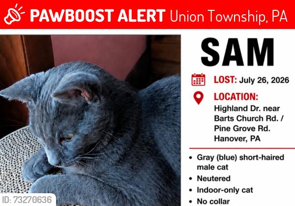 Lost Male Cat last seen Bart's Church & Highland Drive, Union Township, PA 17331