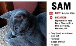 Lost Male Cat last seen Bart's Church & Highland Drive, Union Township, PA 17331