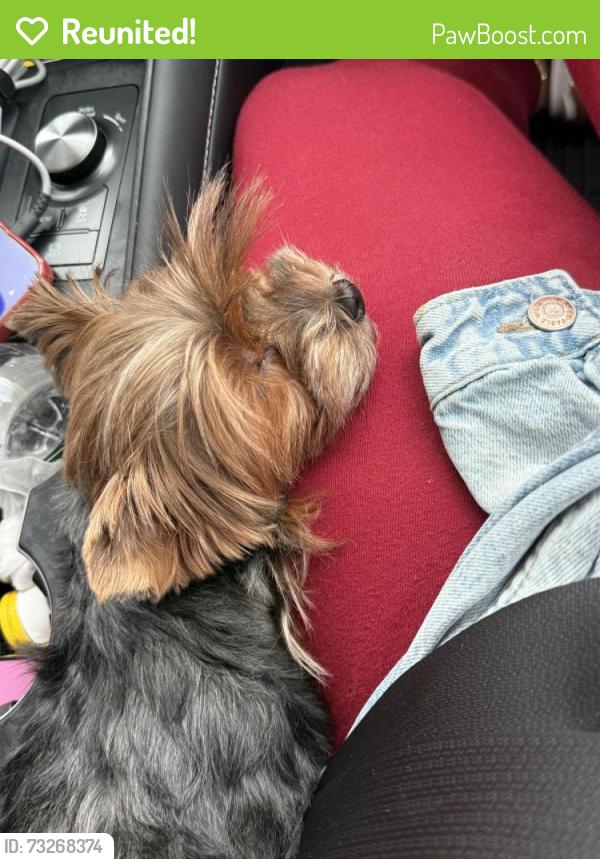 Reunited Female Dog last seen Gibson Pl, Yonkers, NY 10705
