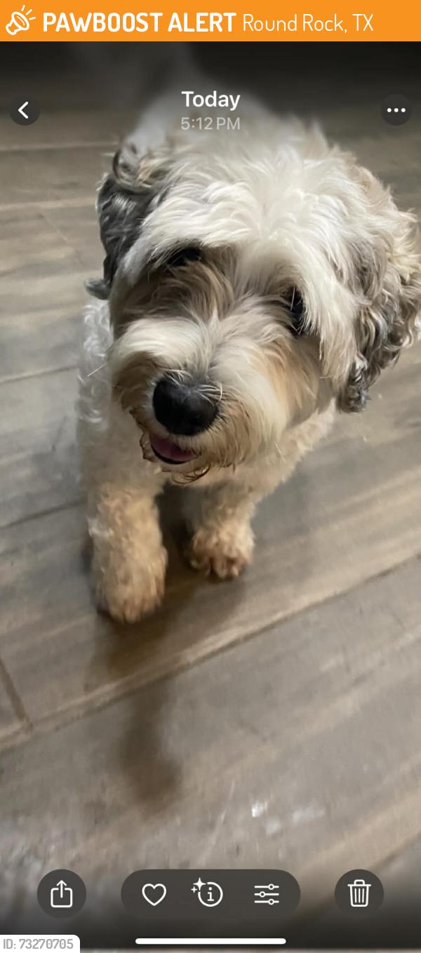 Found/Stray Male Dog last seen Renaissance/Sheffield, Round Rock, TX 78665