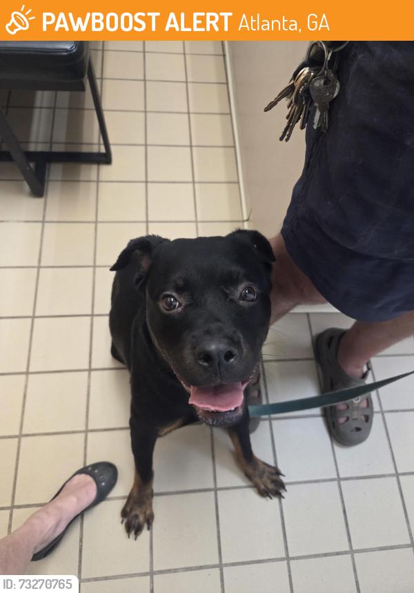 Found/Stray Female Dog last seen Hooch boat ramp near sand town, Atlanta, GA 30311