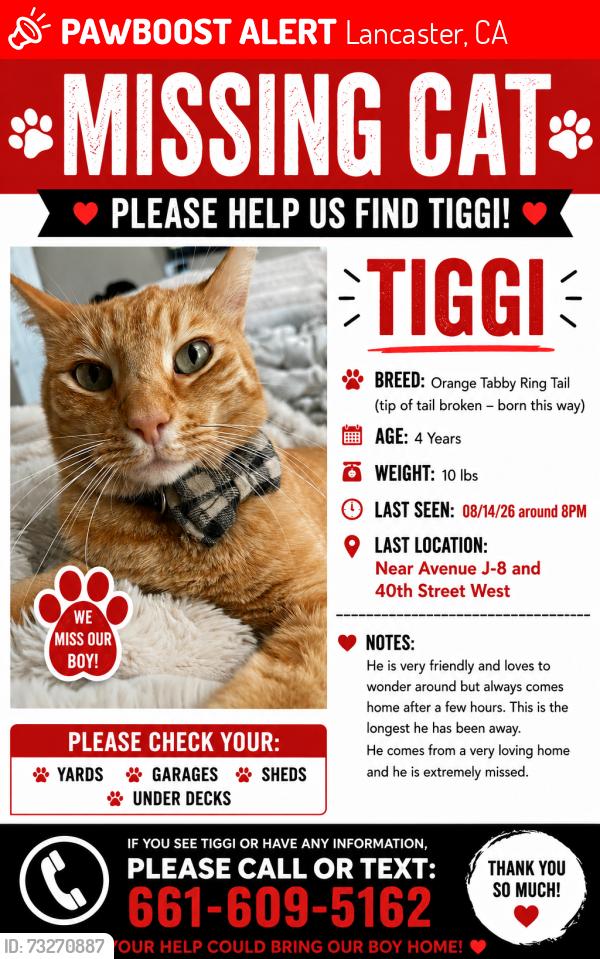 Lost Male Cat last seen West avenue J-8 and 40th street West, Lancaster, CA 93536