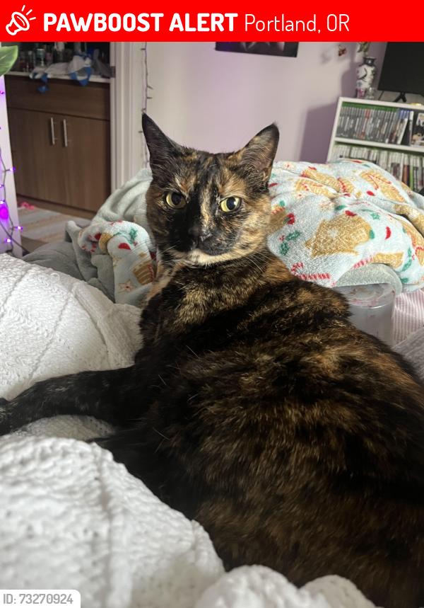 Lost Female Cat last seen Nw Shackelford Road, Portland, OR 97229