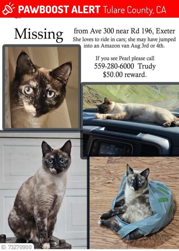 Lost Female Cat last seen Avec300 & Rd 182 near Whitney's Wild Oak Ranch, Tulare County, CA 93221