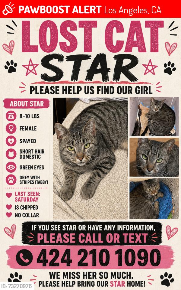 Lost Female Cat last seen Wilmington ave, Los Angeles, CA 90744