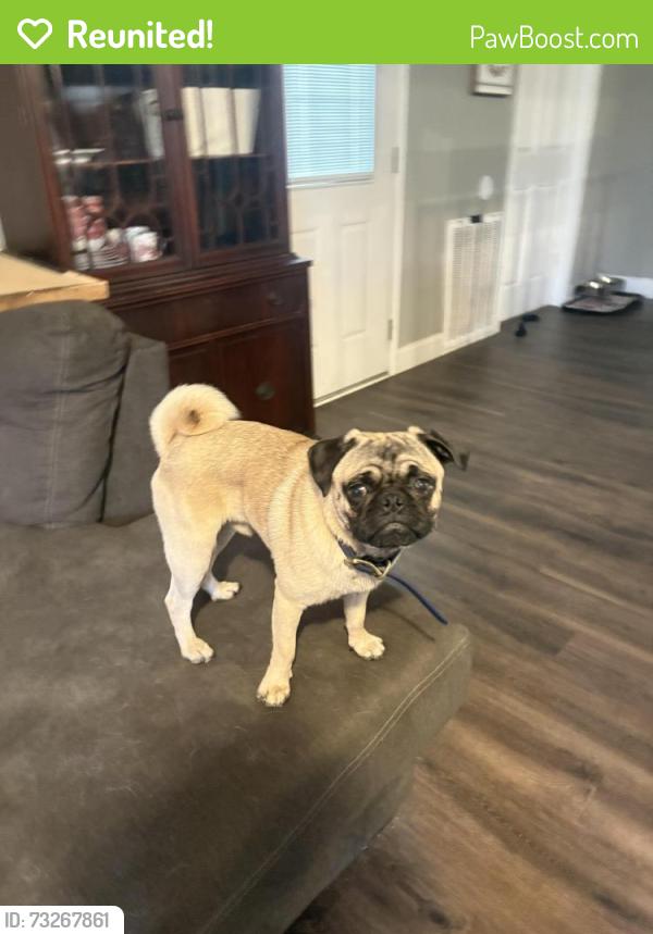 Reunited Unknown Dog last seen On the corner of Pinehill and Old Mooringsport Rd. Near Trinity Heights Baptist Church, Shreveport, LA 71107
