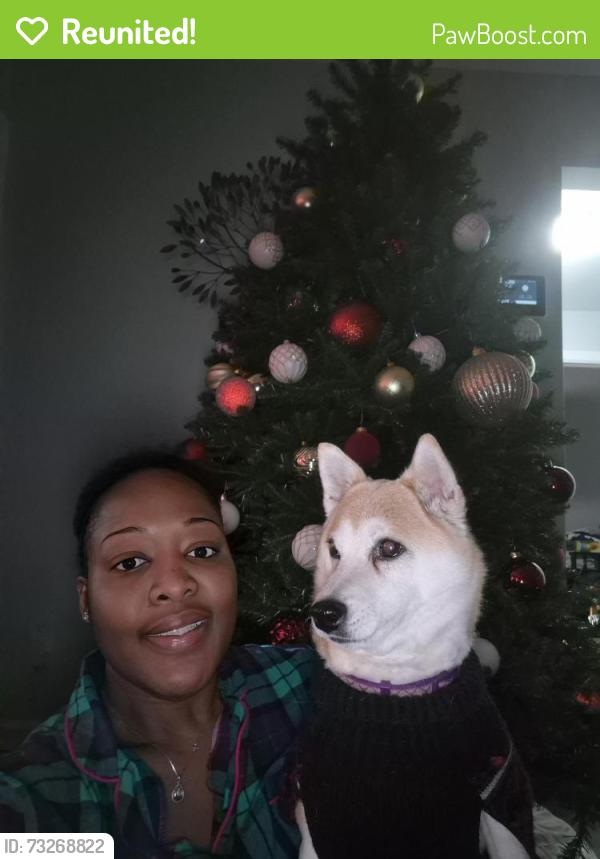 Reunited Female Dog last seen Heath and Hapsburge place, Hempstead, NY 11550