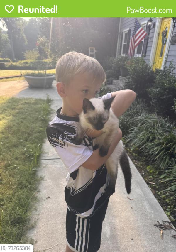 Reunited Unknown Cat last seen Rio Vista Dr, Dalton, GA 30720, USA, Dalton, GA 30720