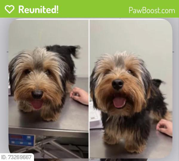 Reunited Male Dog last seen Huntington Neighborhood, Waldorf, MD 20602