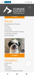 Reunited Male Dog last seen 36th monoco, Denver, CO 80237