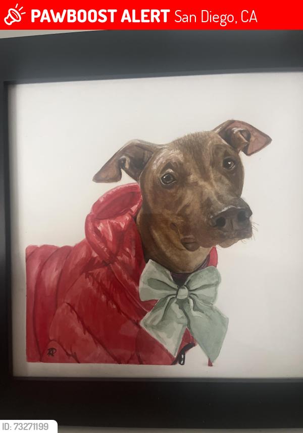 Lost Female Dog last seen Mira mesa, San Diego, CA 92126