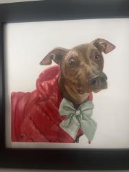 Lost Female Dog last seen Mira mesa, San Diego, CA 92126