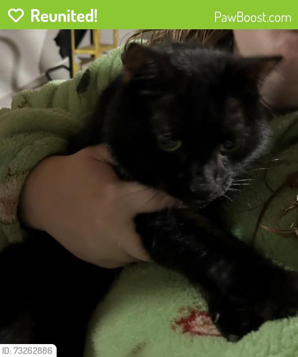 Reunited Male Cat last seen Winfield Drive/Industrial Parkway in South Beloit, South Beloit, IL 61080