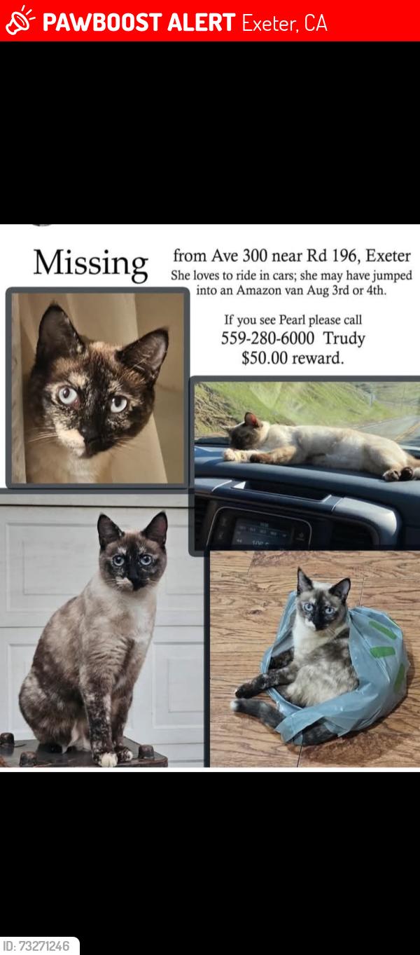 Lost Female Cat last seen Ave 300 and Road 196 Exeter, Exeter, CA 93223