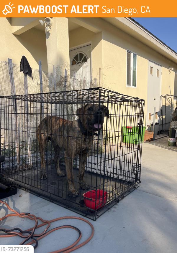 Found/Stray Male Dog last seen jamacha & meadowbrook, San Diego, CA 92114